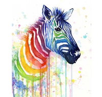 Rainbow Zebra - 65 Northbourne 7.30-9.30pm - Tourism Adelaide