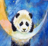 Panda Moon - Statesman Hotel 7.00-9.00pm - Tourism Adelaide
