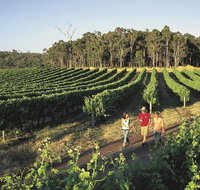 Margaret River Caves Wine and Cape Leeuwin Lighthouse Tour from Perth - Tourism Adelaide