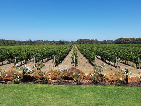 Margaret River Food, Wine & Sightseeing Tour From Perth - Tourism Adelaide 5
