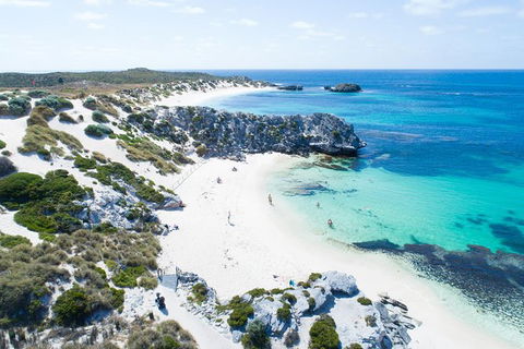 Rottnest Island Tour From Perth Or Fremantle Including Bus Tour - Tourism Adelaide 7