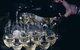 Vasse Felix Cellar Experience With 3-Course Lunch - thumb 6