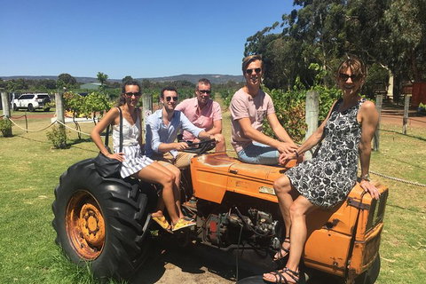 Half Day Swan Valley Wine Tour - Tourism Adelaide 6