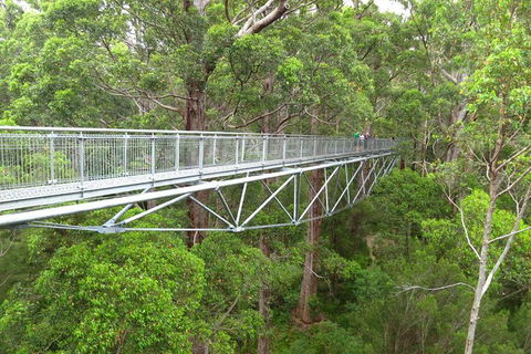Albany Southwest Wilderness Day Tour - Fly From Perth - Tourism Adelaide 2