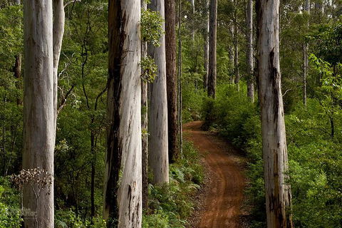 Albany Southwest Wilderness Day Tour - Fly From Perth - Tourism Adelaide 6