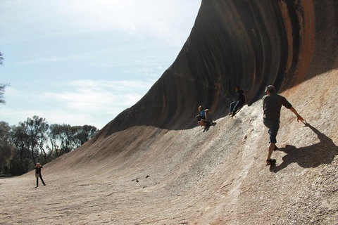 Wave Rock, Pinnacles And Rottnest One Day Aeroplane Tour - Tourism Adelaide 5
