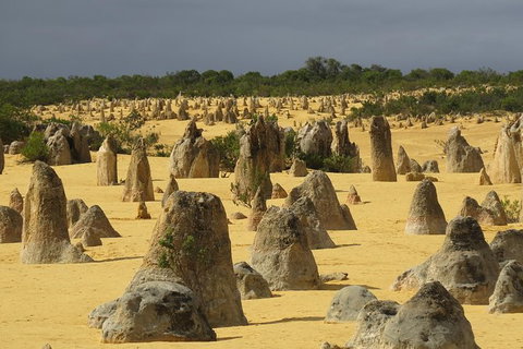 Wave Rock, Pinnacles And Rottnest One Day Aeroplane Tour - Tourism Adelaide 4