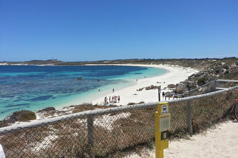 Wave Rock, Pinnacles And Rottnest One Day Aeroplane Tour - Tourism Adelaide 7