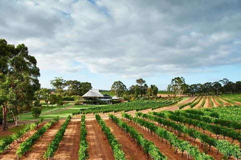 Vasse Felix Winery Tour And Tasting - Tourism Adelaide 2