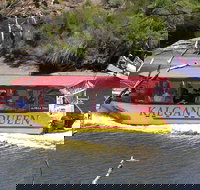 Kalgan Queen Scenic Cruises a four hour sheltered water wildlife tour daily fun. - Tourism Adelaide