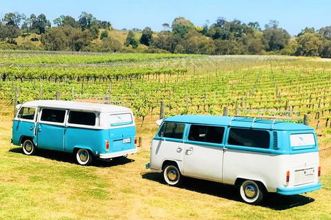 VW Kombi Wine Tour In The Swan Valley - Tourism Adelaide 6