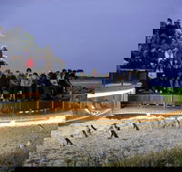 1 Day Private Phillip Island Tour VIP Charter up to 9 People - Tourism Adelaide