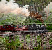 Melbourne Combo Great Ocean Road Puffing Billy Moonlit Sanctuary  Penguins - Tourism Adelaide