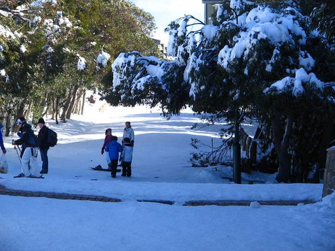 Mt. Buller Ski Tour From Melbourne - Tourism Adelaide 18