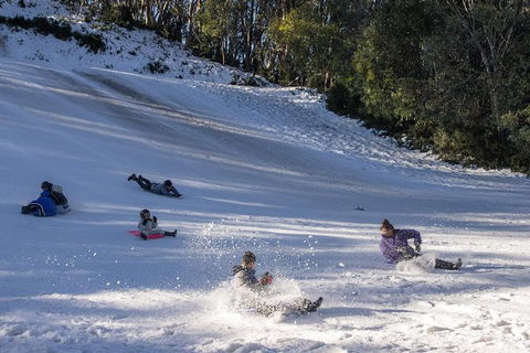 Mt. Buller Ski Tour From Melbourne - Tourism Adelaide 1