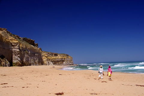 Great Ocean Road Day Trip: Twelve Apostles, Loch Ard Gorge And Apollo Bay - Tourism Adelaide 1