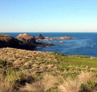 Phillip Island Walking  Bird Watching Tour - Tourism Adelaide