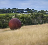 Estate to Plate Montalto Vineyard Gourmet Lunch and Wine-Tasting Tour - Tourism Adelaide