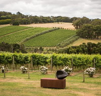 Montalto Vineyard Mornington Peninsula Discovery Wine Tasting and Lunch - Tourism Adelaide