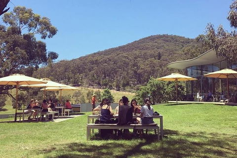 CHEVY CONVERTIBLE Package For 2 People- Wine Lunch Cheese & Chocolate From Melb. - Tourism Adelaide 6