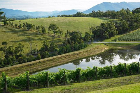 CHEVY CONVERTIBLE Package For 2 People- Wine Lunch Cheese & Chocolate From Melb. - Tourism Adelaide 9