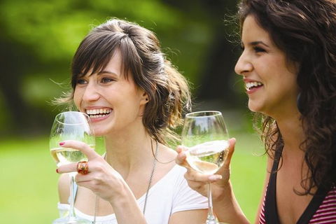 Yarra Valley Wine Tasting Tours - Tourism Adelaide 0