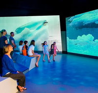 Phillip Island Antarctic Journey Entry ticket - Tourism Adelaide