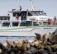 Phillip Island Seal-Watching Cruise - Tourism Adelaide