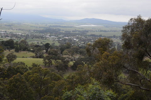 Yarra Valley Wine & Food Day Tour From Melbourne With Lunch At Yering Station - Tourism Adelaide 2