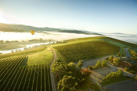 Yarra Valley Wine & Food Day Tour From Melbourne With Lunch At Yering Station - Tourism Adelaide 10