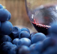 Small Group 6 guests Ultimate Mornington Peninsula Food and Wine - Tourism Adelaide