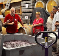 5 Hour Private Wine Tour - Tourism Adelaide