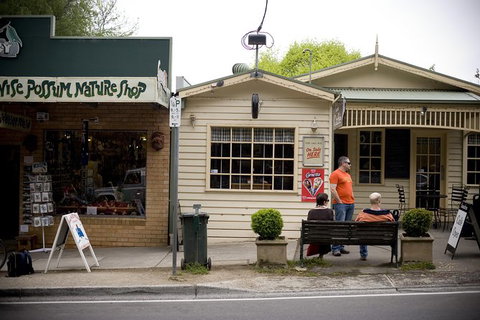 Half Day Puffing Billy Train Journey From Melbourne - Tourism Adelaide 10
