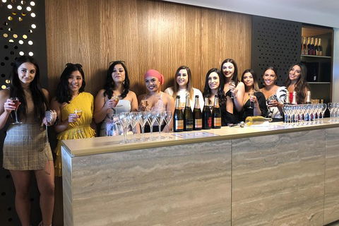 Yarra Valley Public Winery Tours - Tourism Adelaide 0