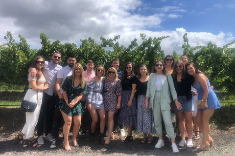 Yarra Valley Public Winery Tours - Tourism Adelaide 16