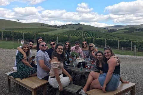Yarra Valley Public Winery Tours - Tourism Adelaide 12