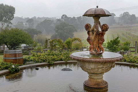 Yarra Valley Public Winery Tours - Tourism Adelaide 6