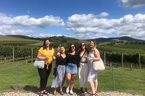 Yarra Valley Public Winery Tours - Tourism Adelaide 15