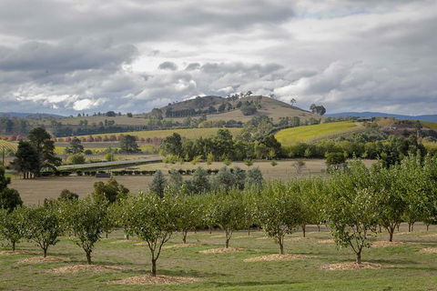 Yarra Valley Public Winery Tours - Tourism Adelaide 5