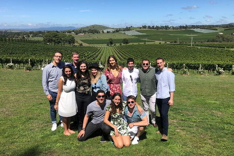 Yarra Valley Public Winery Tours - Tourism Adelaide 21