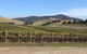 Yarra Valley Public Winery Tours - thumb 17