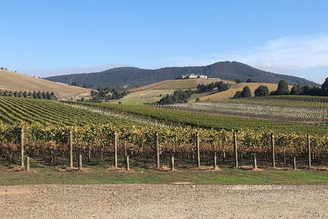 Yarra Valley Public Winery Tours - Tourism Adelaide 17