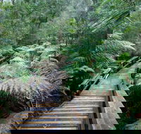 Small-group DayTour from Hobart Hastings Caves Huon Valley and Tahune AirWalk