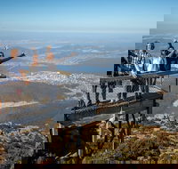 Mt Field National Park Active Day-Trip Including Bonorong and Mt Wellington