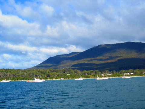 Full-Day Tasman Peninsula Tour From Hobart - Tourism Adelaide 7