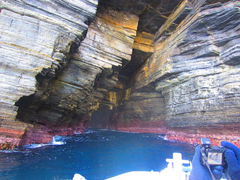 Full-Day Tasman Peninsula Tour From Hobart - Tourism Adelaide 8