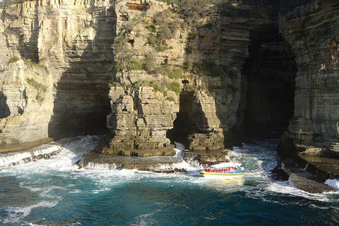 Full-Day Tasman Peninsula Tour From Hobart - Tourism Adelaide 18