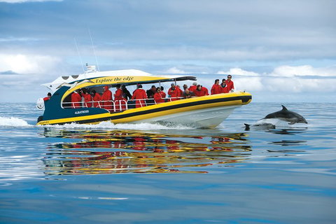 Full-Day Tasman Peninsula Tour From Hobart - Tourism Adelaide 17
