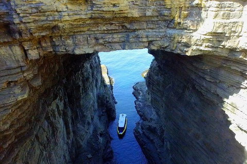 Full-Day Tasman Peninsula Tour From Hobart - Tourism Adelaide 19