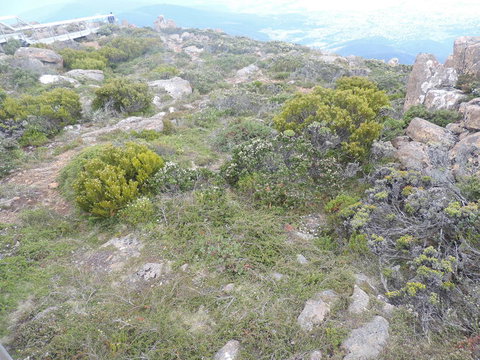 Mt Wellington Tour And MONA Admission - Tourism Adelaide 8